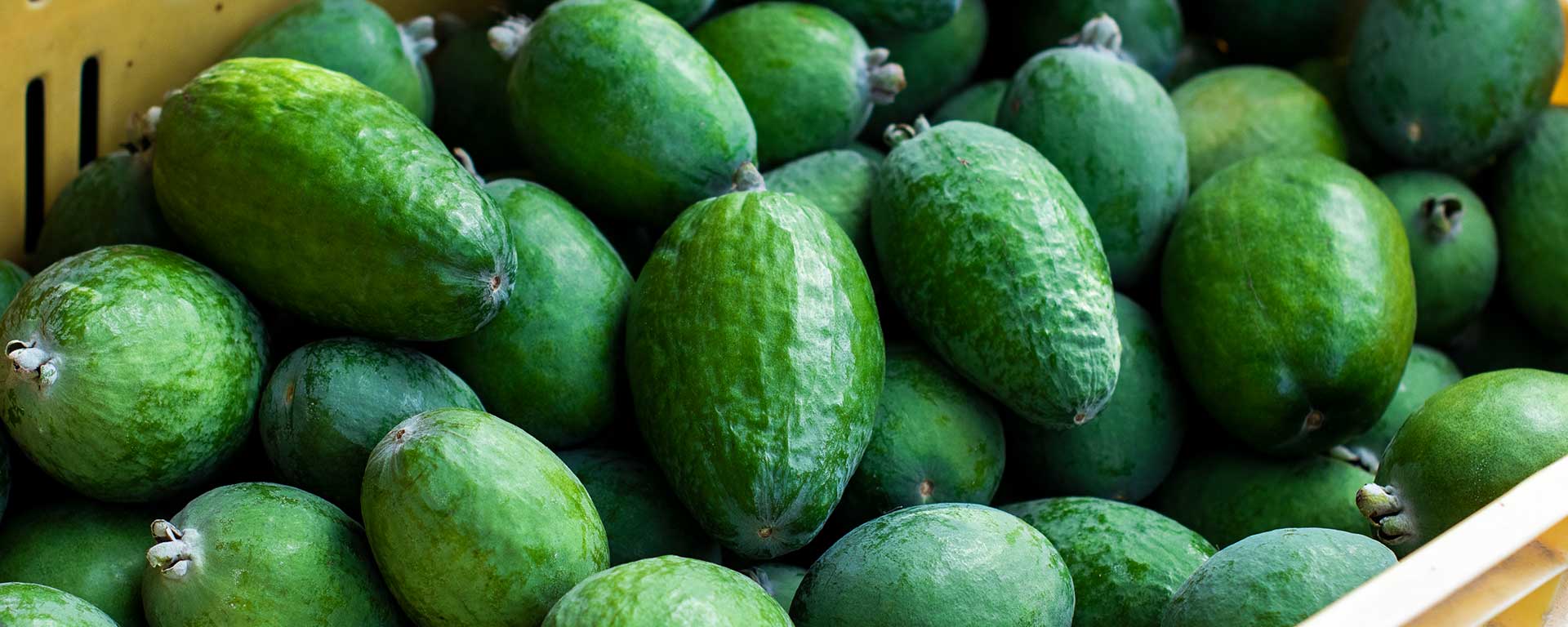 March Banner - Feijoas