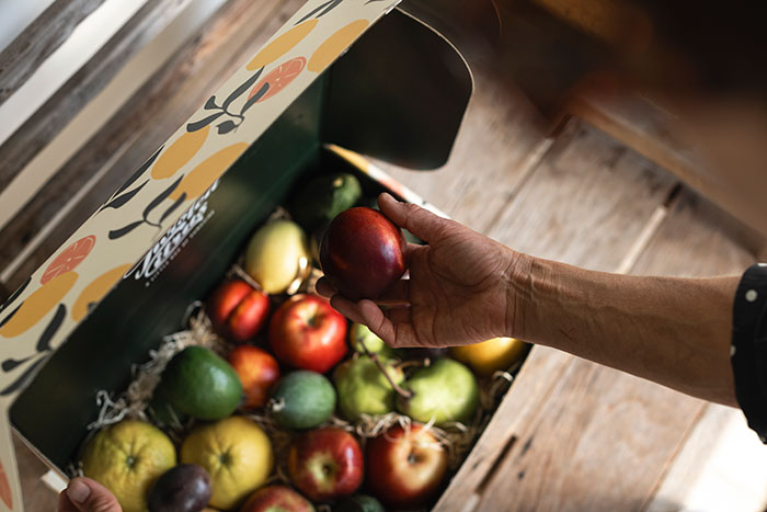 Hand holding fruit