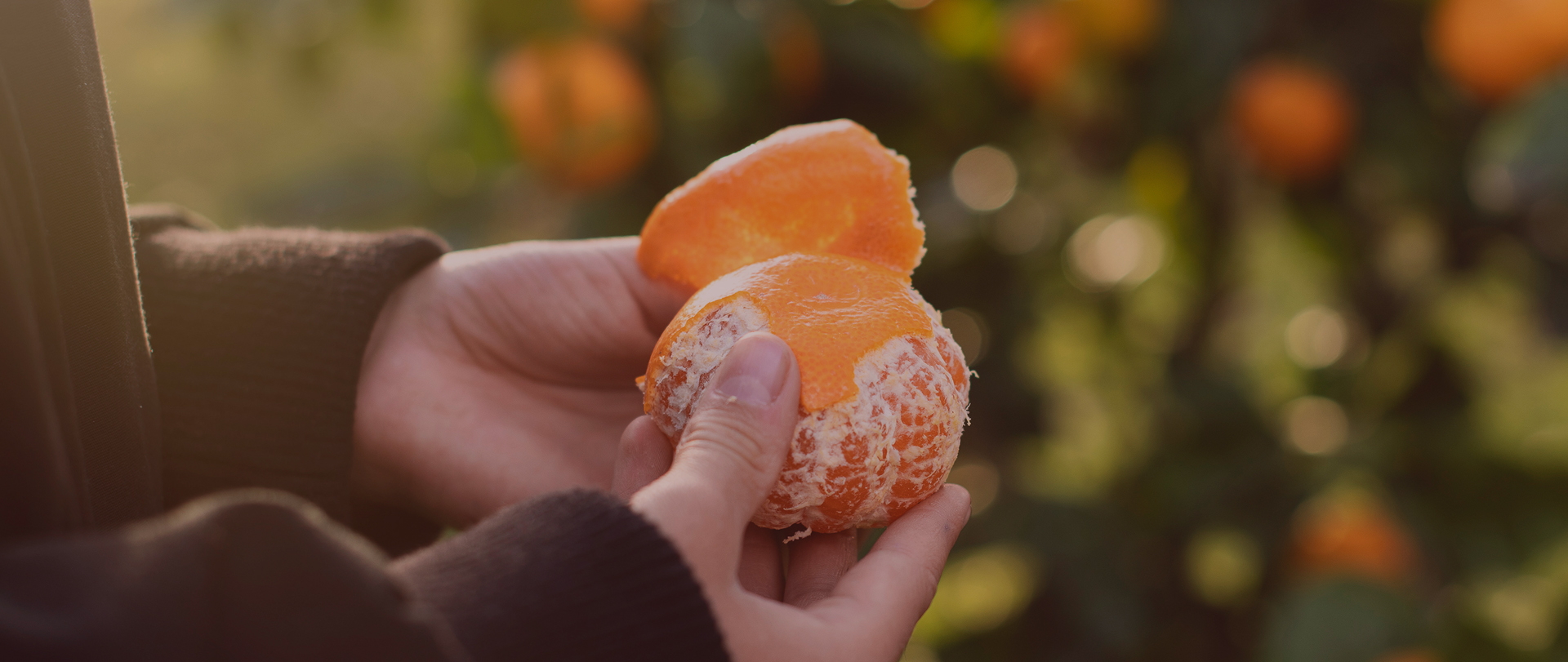 May Banner - Mandarin