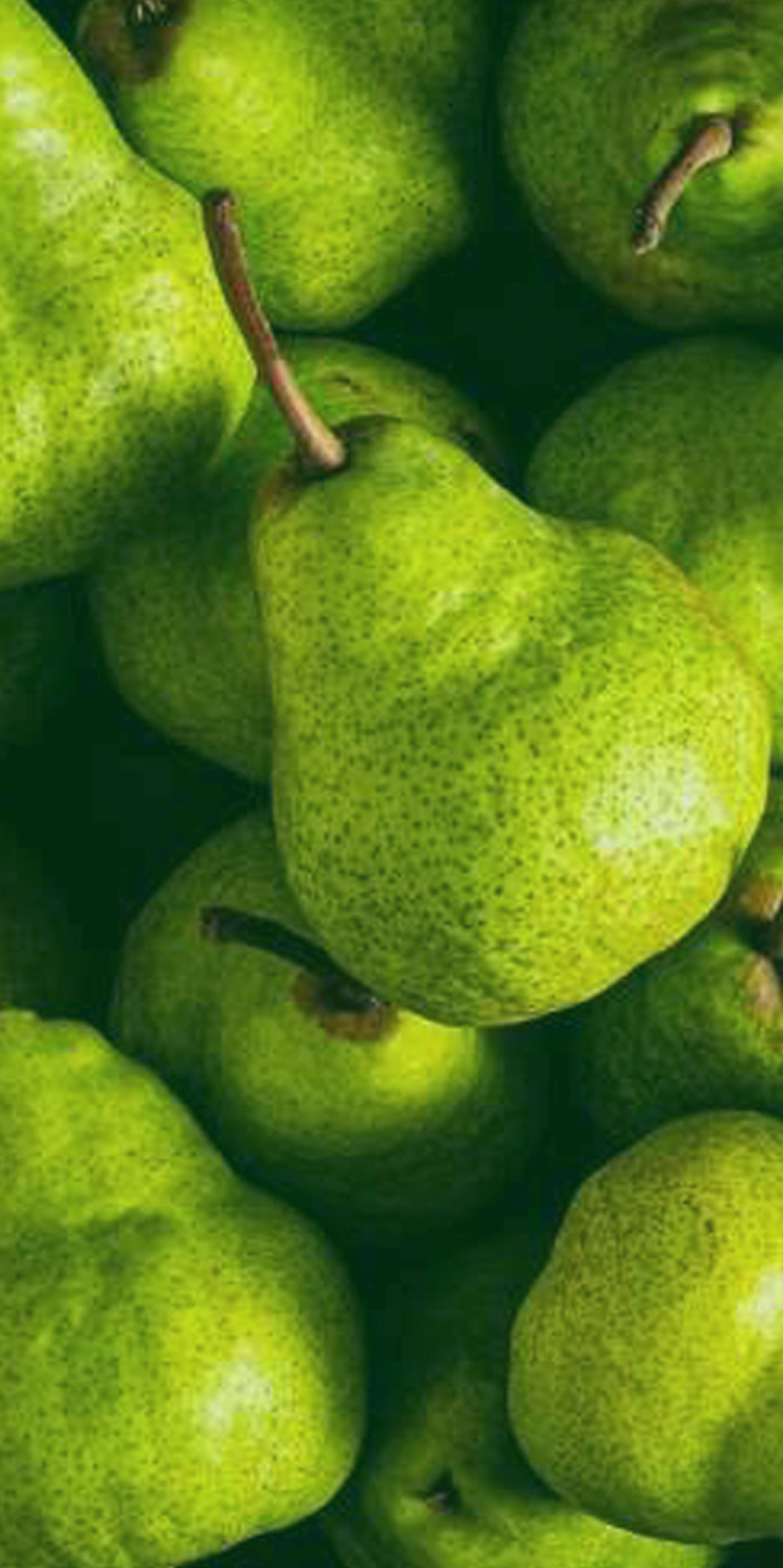 Pear Banner