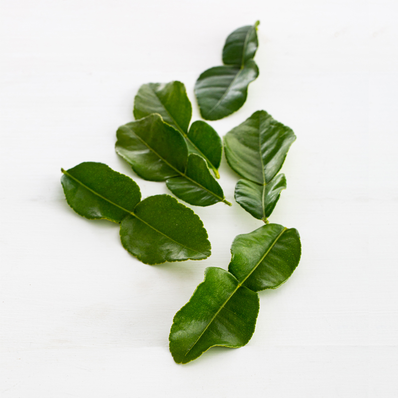 Makrut lime leaves - available now