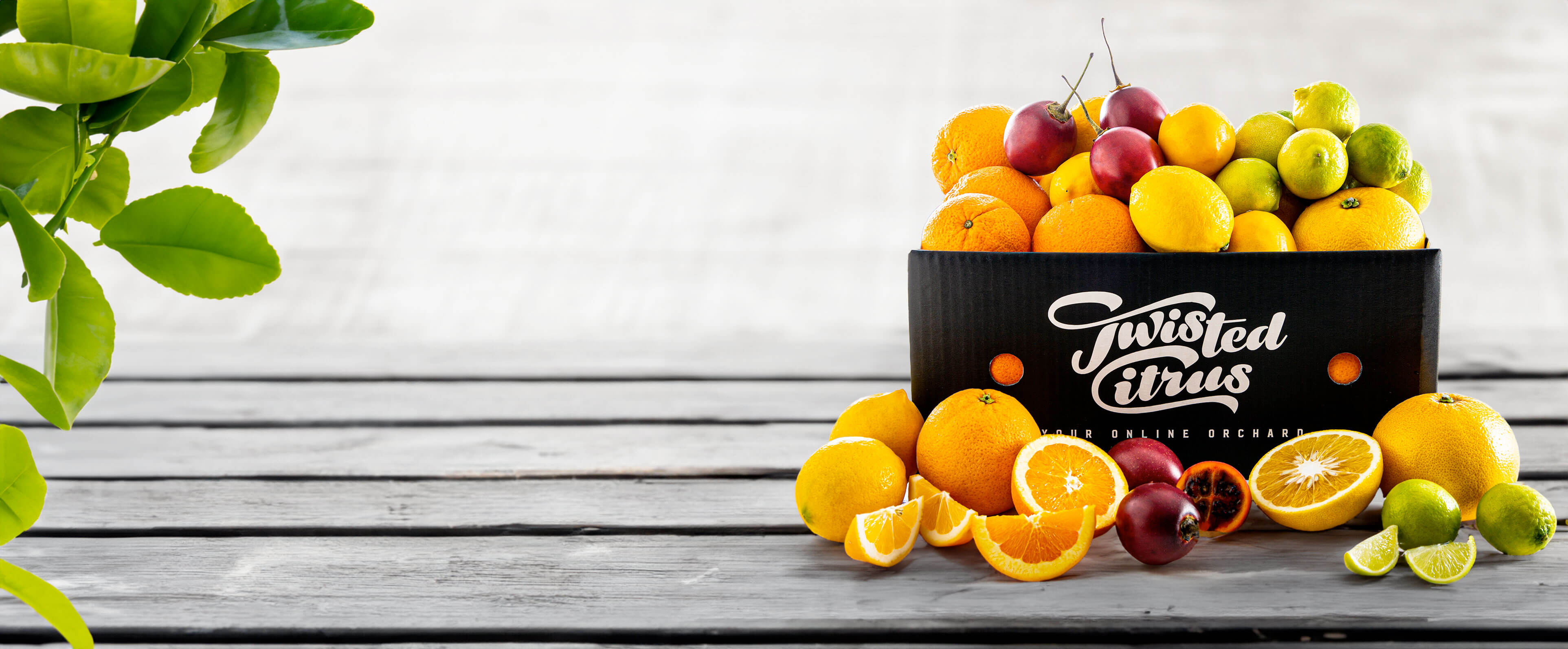 June Seasonal - Buy fresh produce online at Twisted Citrus